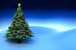 Pohlednice - vánoční stromeček